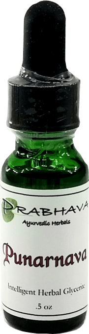 Punarnava Intelligent Herbal Glycerite .5 oz - Prabhava Ayurvedic Herbals