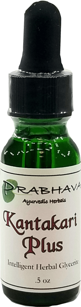 Kantakari Plus Intelligent Herbal Glycerite .5 oz - Prabhava Ayurvedic Herbals