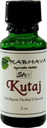 Kutaj Intelligent Herbal Glycerite .05 oz | Prabhava SVAFF Ayurvedic Herbals