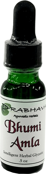 Bhumi Amla Intelligent Herbal Glycerite .5 oz - Prabhava Ayurvedic Herbals