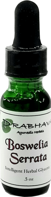 Boswelia Intelligent Herbal Glycerite .5 oz - Prabhava Ayurvedic Herbals