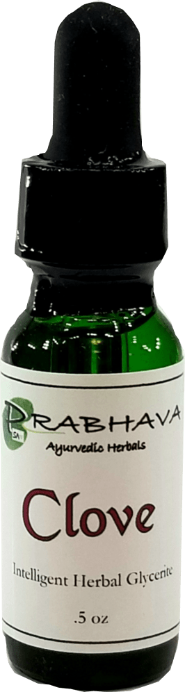 Clove Intelligent Herbal Glycerite .5 oz - Prabhava Ayurvedic Herbals