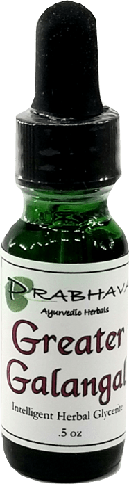Greater Galangal Intelligent Herbal Glycerite .5 oz - Prabhava Ayurvedic Herbals