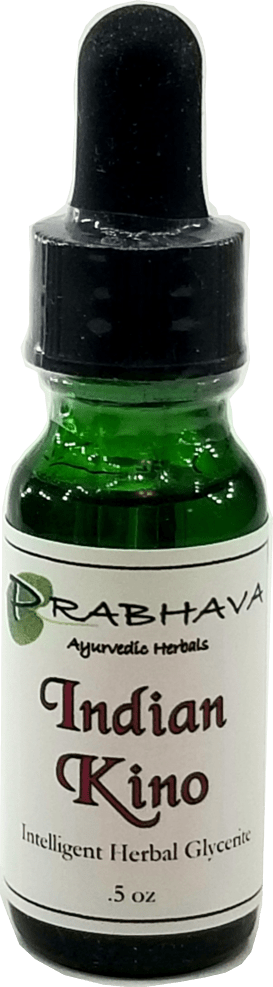 Indian Kino Intelligent Herbal Glycerite .5 oz - Prabhava Ayurvedic Herbals