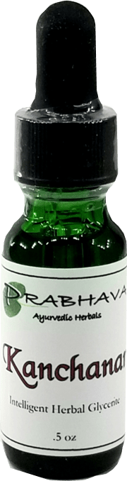 Kanchanar Intelligent Herbal Glycerite .5 oz - Prabhava Ayurvedic Herbals