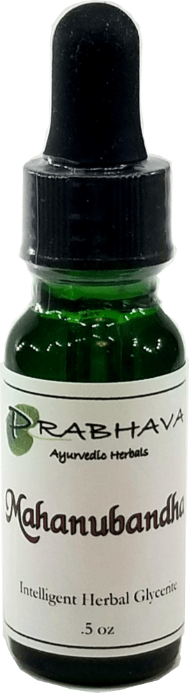 Mahanubandha Intelligent Herbal Glycerite .5 oz - Prabhava Ayurvedic Herbals