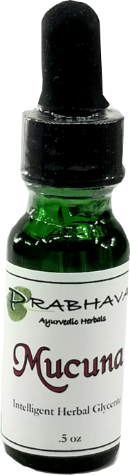 Mucuna Intelligent Herbal Glycerite .5 oz - Prabhava Ayurvedic Herbals