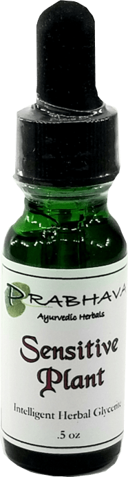 Sensitive Plant Intelligent Herbal Glycerite .5 oz - Prabhava Ayurvedic Herbals